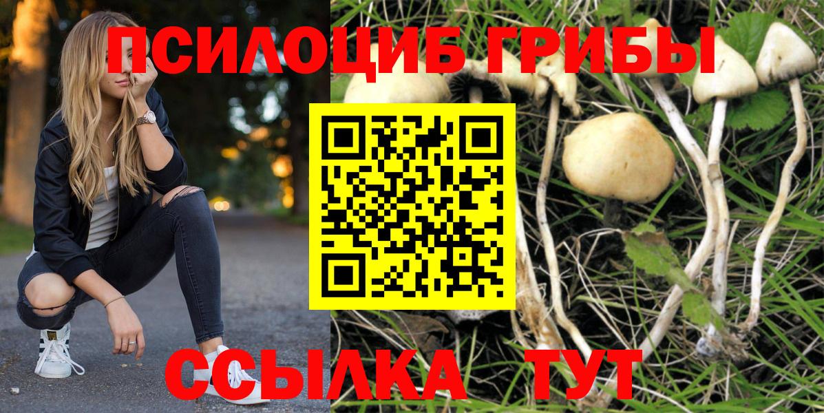 Псилоцибиновые грибы Cubensis  Галлюциногенные грибы мицелий  Кемерово  дарнет шоп  Вход с VPN 
