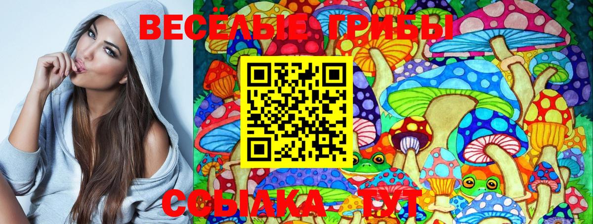 ГАШ  MDMA  А ПВП СОЛЬ кристаллы  Меф кристаллы  Каннабис  Кодеин  Кемерово  Вход с VPN 